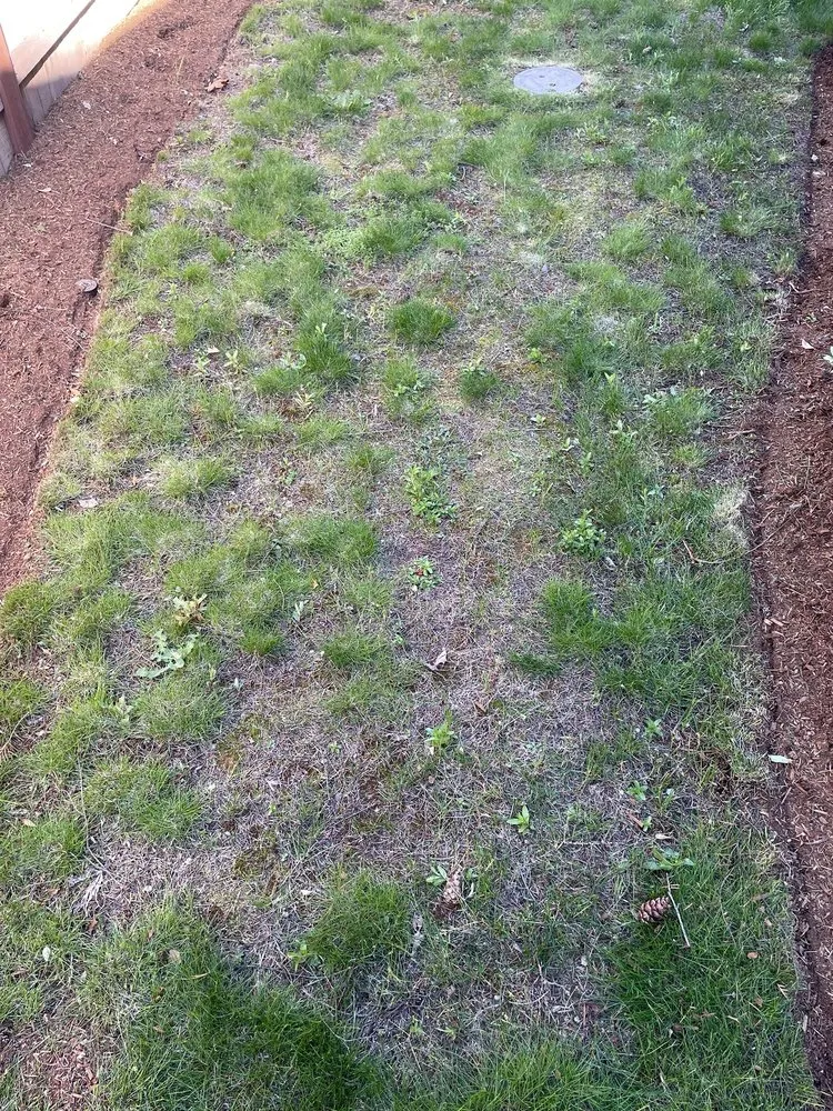 Custom outdoor landscaping with custom design across Woodinville, WA - Hoffman's Landscape