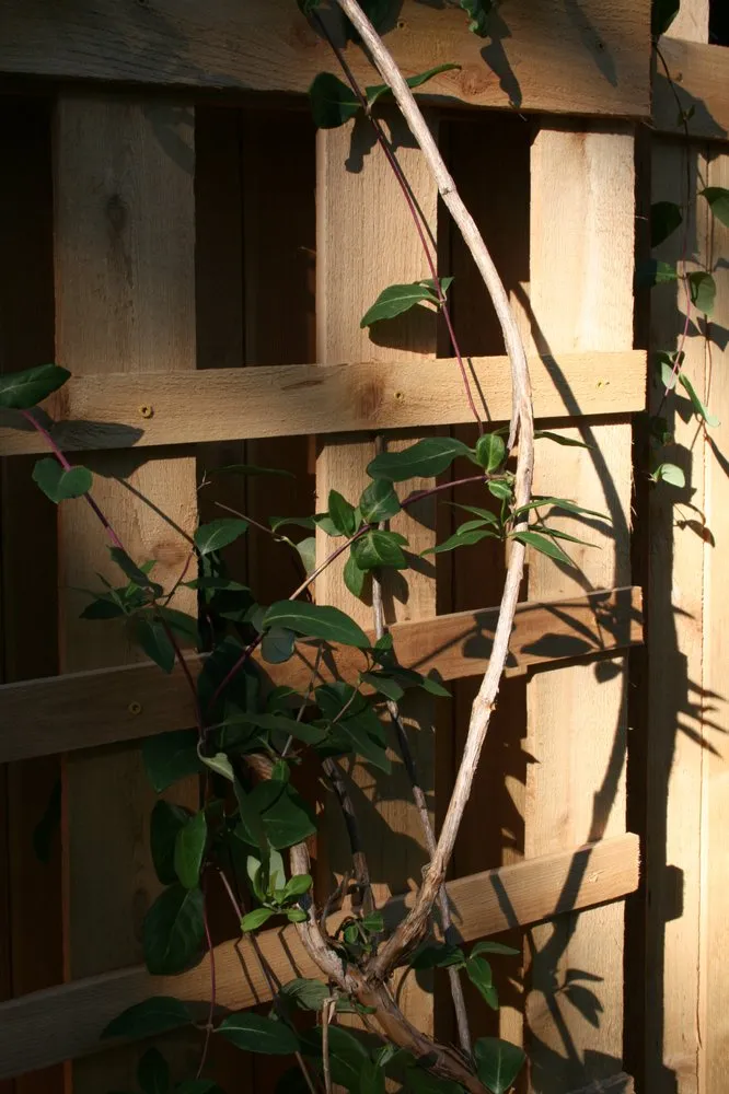 Affordable landscaping services in Woodinville, WA by Hoffman's Landscape