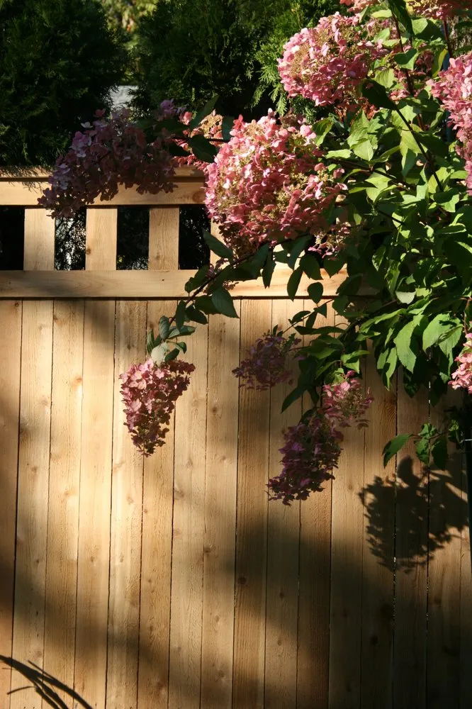 Affordable lawn mowing service in Woodinville, WA by Hoffman's Landscape