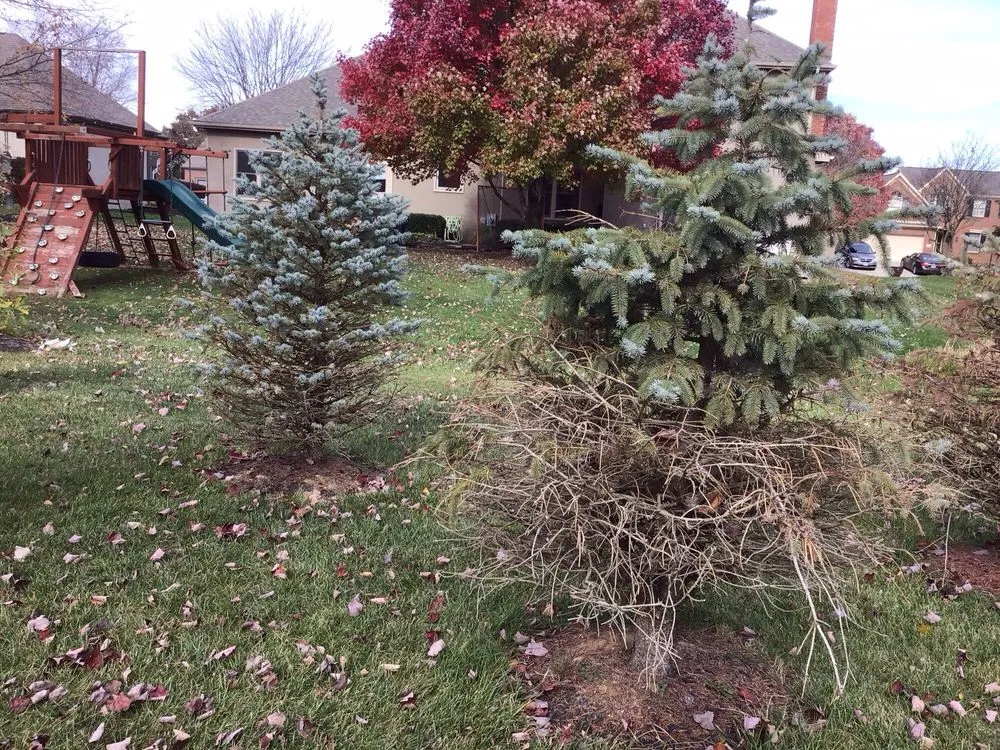 Custom landscape installation experts serving Delaware, OH - Hoffmans Lawn & Fertilization