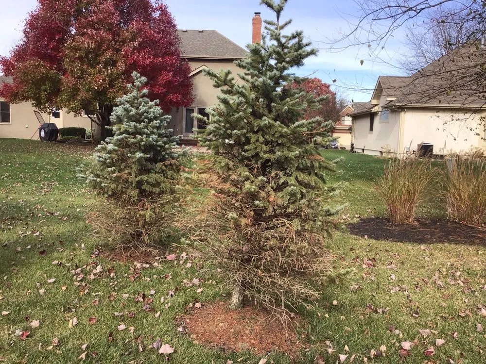 Trusted landscape design for year-round maintenance in Delaware, OH by Hoffmans Lawn & Fertilization