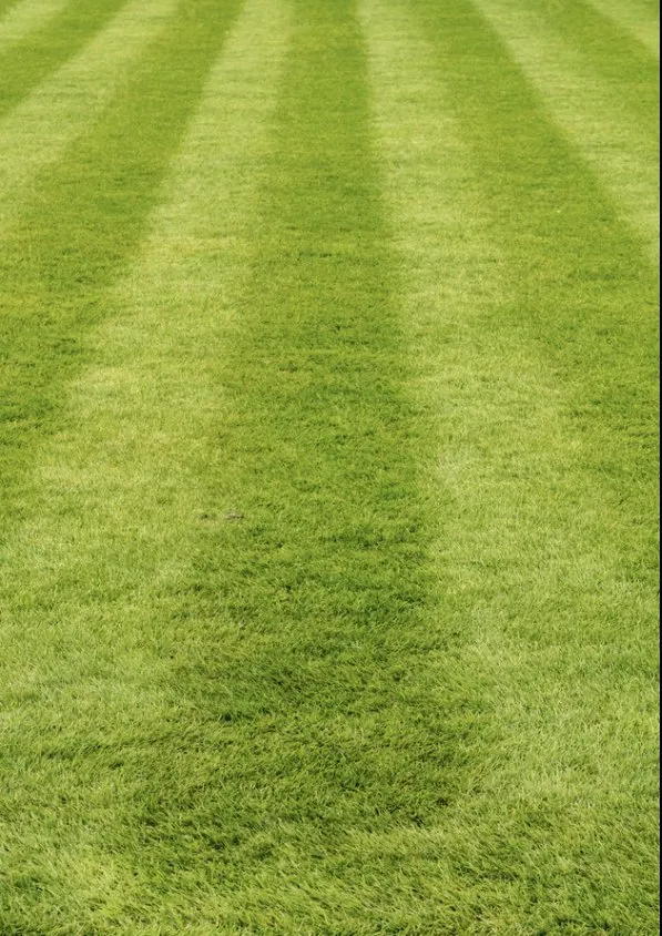 Top-rated lawn mowing service for year-round maintenance in Rockford, IL by Hoffman’s Lawn Care