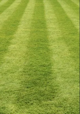 Hoffman’s Lawn Care Logo