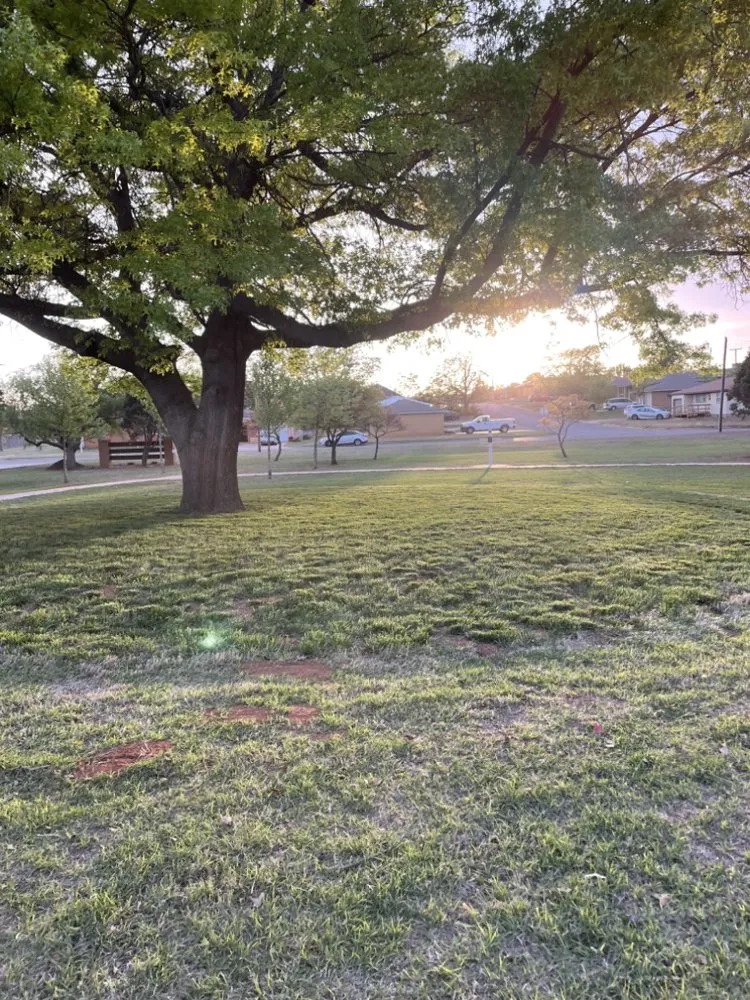 Local residential landscaping experts serving Weatherford, OK - Hoffman’s Lawn Care