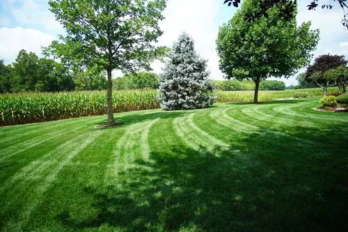 Affordable outdoor landscaping for homes in Wabash, IN by Hoffman's Nursery and Landscaping