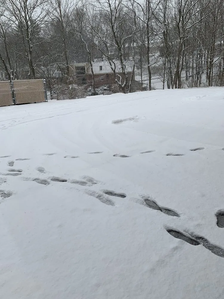 Affordable residential landscaping in Pittsburgh, PA by Hoffman's Tree Service