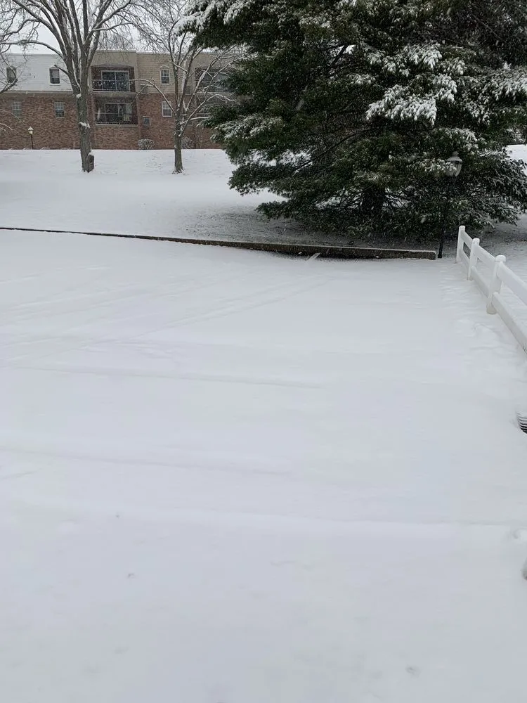 Local yard maintenance in Pittsburgh, PA by Hoffman's Tree Service