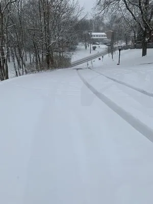 Hoffman's Tree Service Logo