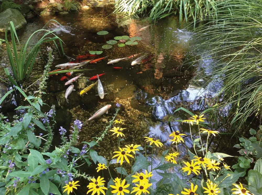 Top-rated yard cleanup service for year-round maintenance in Uniontown, OH by Hoffman's Water X Scapes