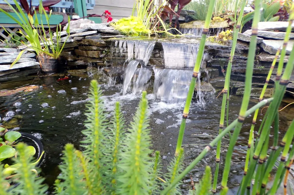 Trusted lawn care service in Uniontown, OH by Hoffman's Water X Scapes