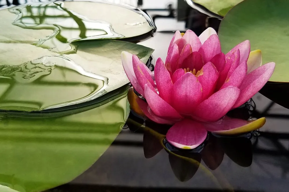 Professional residential landscaping experts serving Uniontown, OH - Hoffman's Water X Scapes