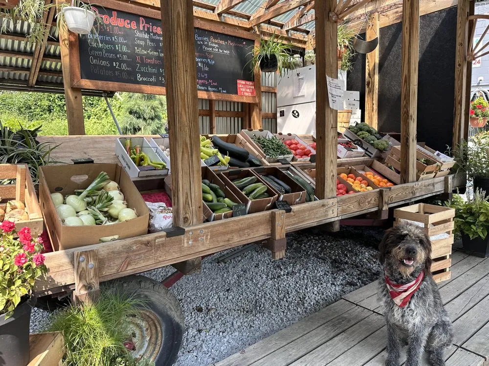 Reliable yard cleanup service experts serving Pittsburgh, PA - Hoff's All Season Supply