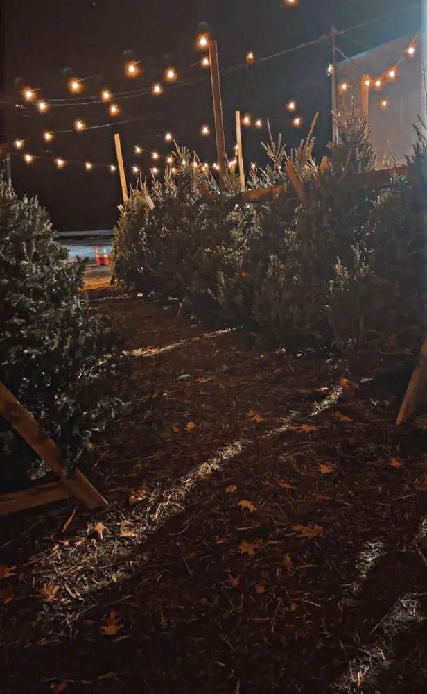 Local yard maintenance for year-round maintenance across Pittsburgh, PA - Hoff's All Season Supply