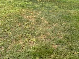 Trusted lawn care service in Rockford, IL by Hofherr's Landscaping