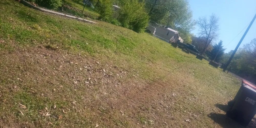 Trusted landscape installation in Springdale, AR - Hog Wild 479 Handyman Service