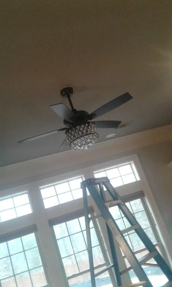 Affordable yard maintenance experts serving Springdale, AR - Hog Wild 479 Handyman Service