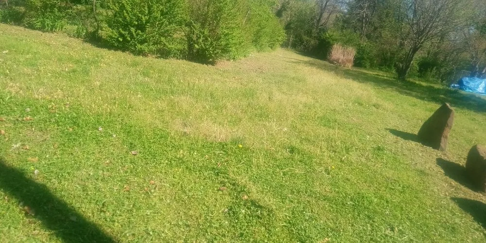 Local outdoor landscaping in Springdale, AR by Hog Wild 479 Handyman Service