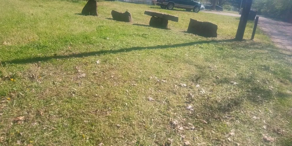 Expert yard cleanup service for year-round maintenance across Springdale, AR - Hog Wild 479 Handyman Service