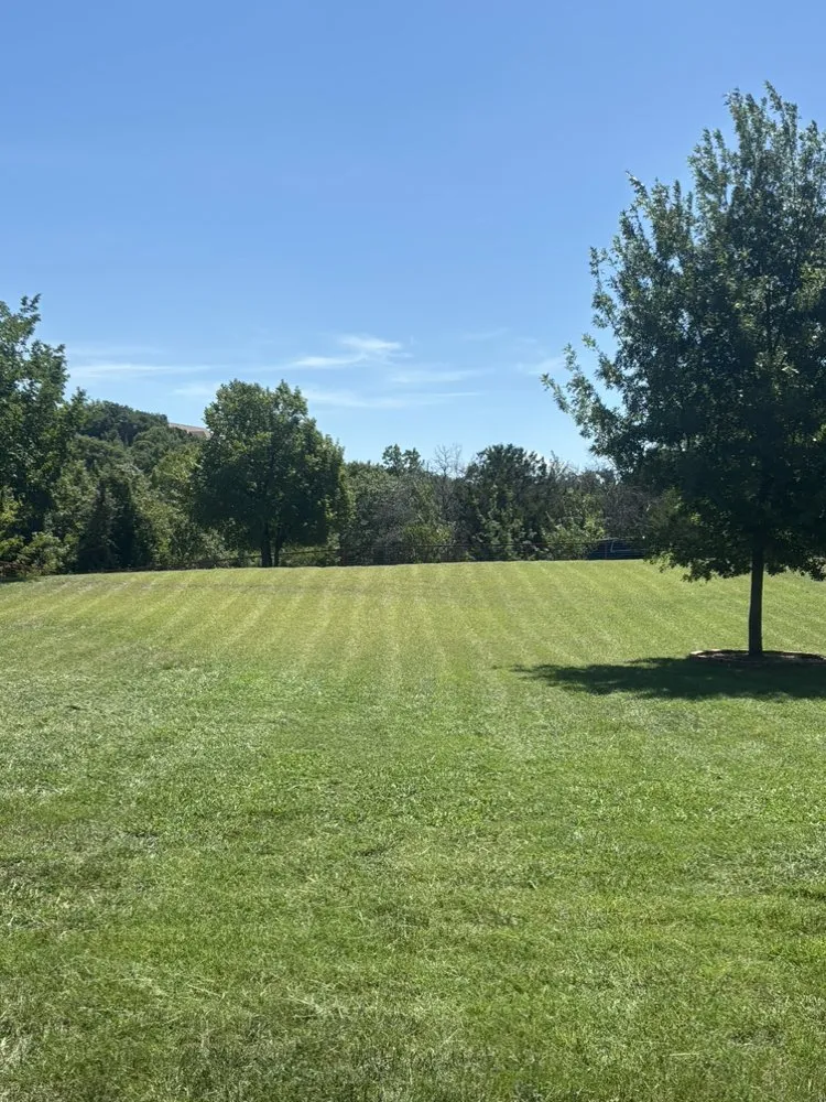 Local landscaping services for year-round maintenance across Fort Worth, TX - Hog Wild Lawn Care