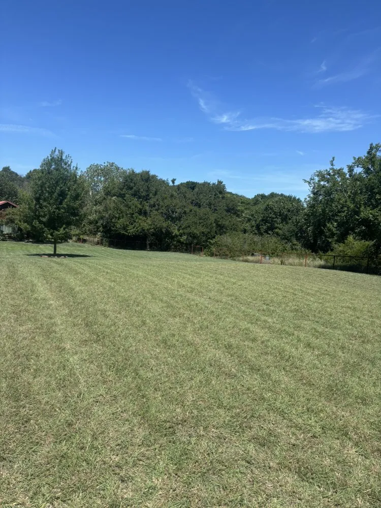 Reliable landscaping services in Fort Worth, TX by Hog Wild Lawn Care