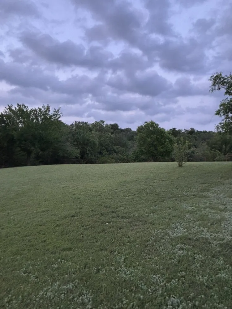 Trusted landscape design experts serving Fort Worth, TX - Hog Wild Lawn Care