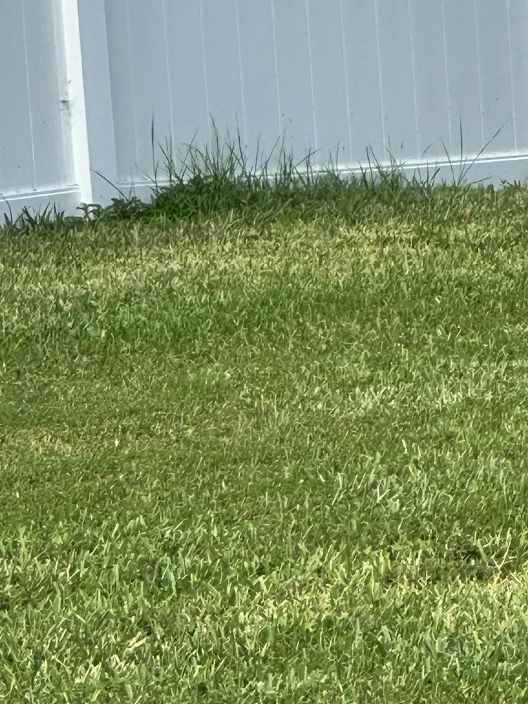 Expert landscape installation for beautiful yards across Orlando, FL - Hogan Landscapes