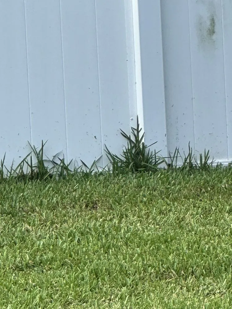 Trusted landscape installation in Orlando, FL by Hogan Landscapes