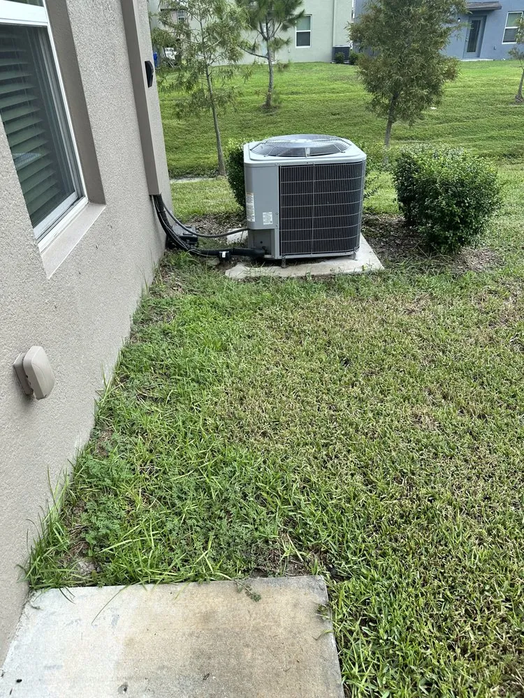 Reliable yard cleanup service experts serving Orlando, FL - Hogan Landscapes