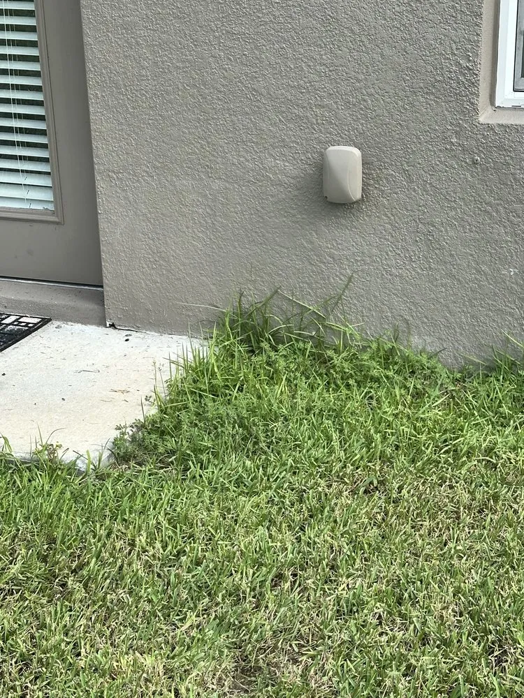 Top-rated yard cleanup service in Orlando, FL by Hogan Landscapes