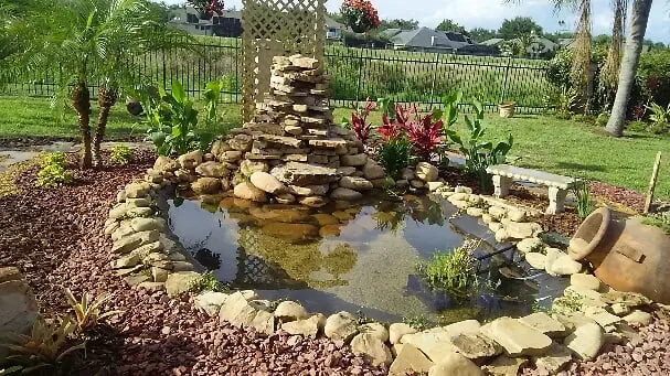 Local yard cleanup service in Orlando, FL by Hogan Landscapes