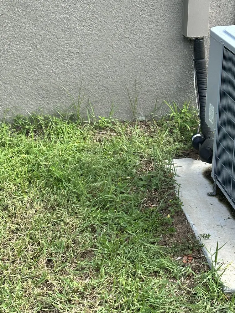 Trusted yard cleanup service in Orlando, FL by Hogan Landscapes