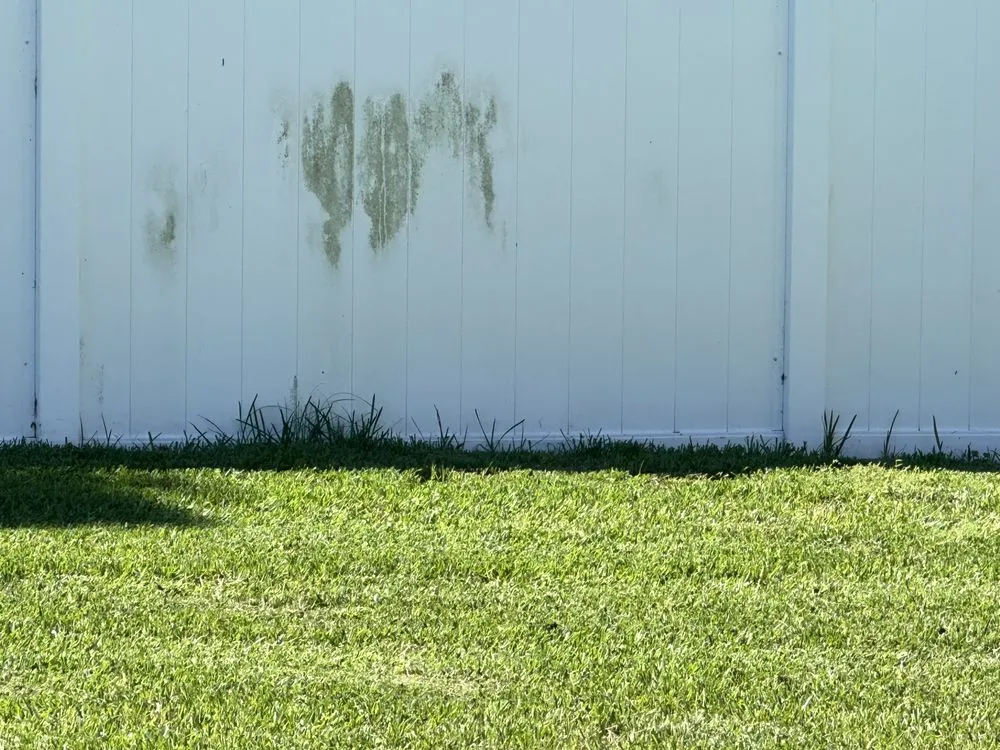 Expert landscape design for homes in Orlando, FL by Hogan Landscapes