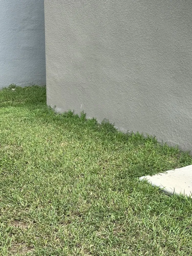 Affordable yard cleanup service near you across Orlando, FL - Hogan Landscapes