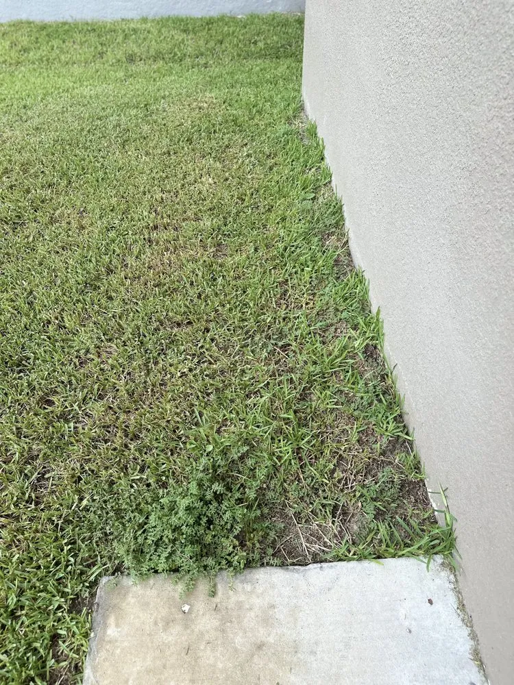 Expert landscape design for year-round maintenance across Orlando, FL - Hogan Landscapes