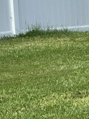 Hogan Landscapes Logo