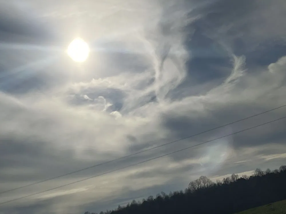 Top-rated yard cleanup service in Honea Path, SC by Hogg Bannister Kinsey