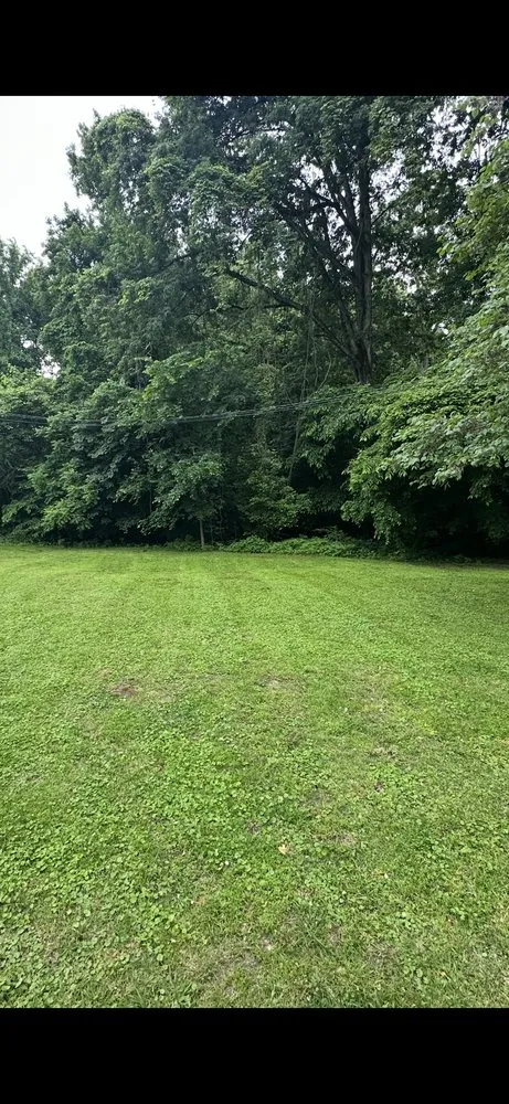 Local lawn care service for residential properties across Dyersburg, TN - Hogg lawncare