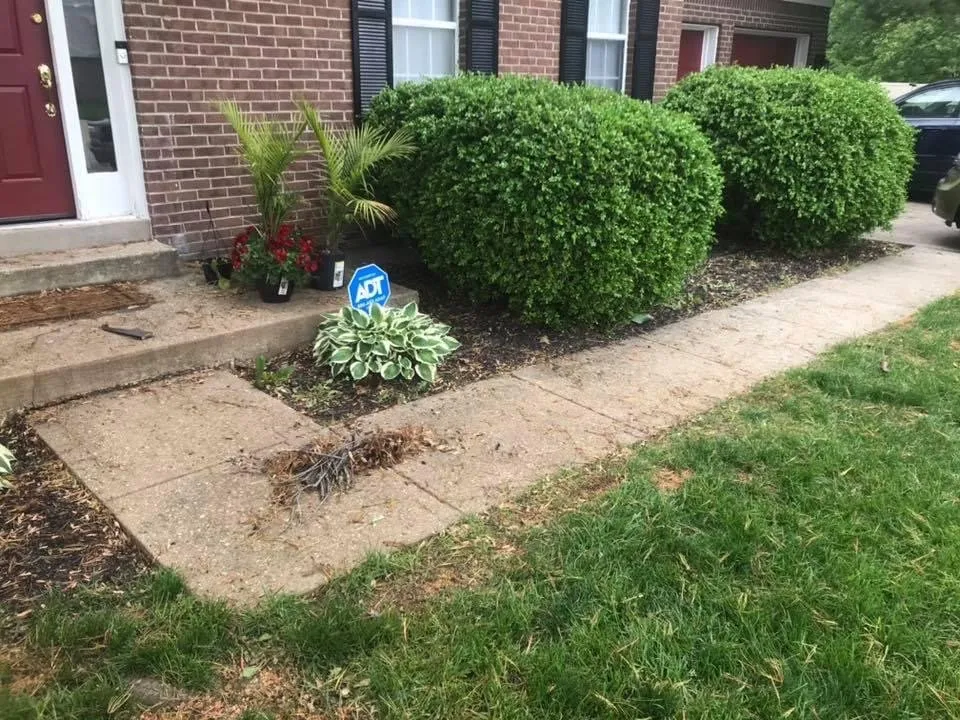 Local yard maintenance in Indianapolis, IN by Hoggatt Landscaping