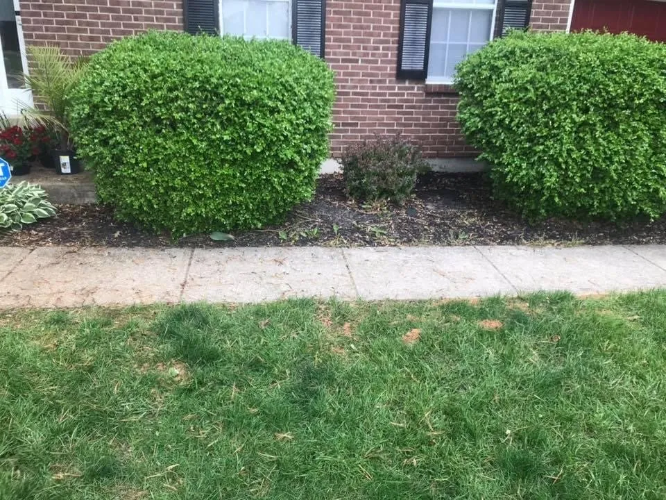 Professional garden landscaping in Indianapolis, IN - Hoggatt Landscaping