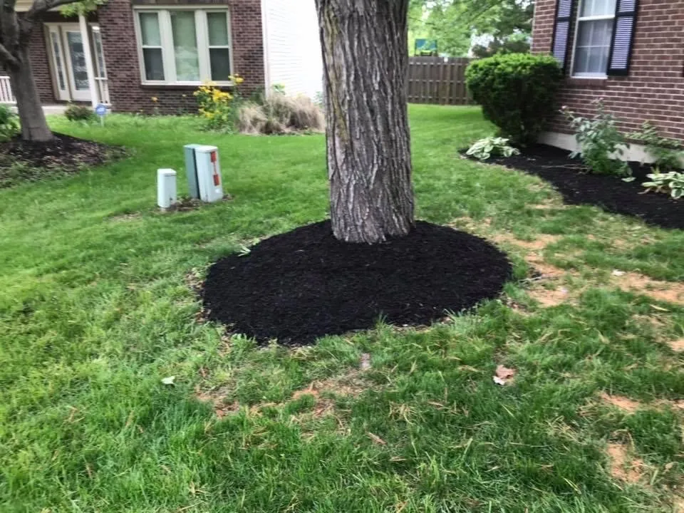 Top-rated lawn care service experts serving Indianapolis, IN - Hoggatt Landscaping
