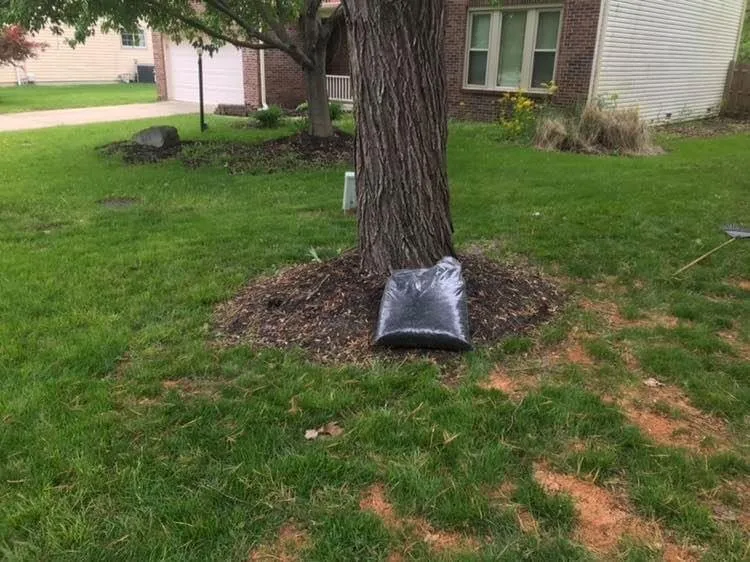 Top-rated landscape installation for outdoor upgrades across Indianapolis, IN - Hoggatt Landscaping