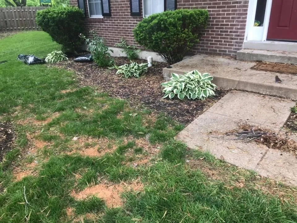 Trusted lawn care service for year-round maintenance in Indianapolis, IN by Hoggatt Landscaping