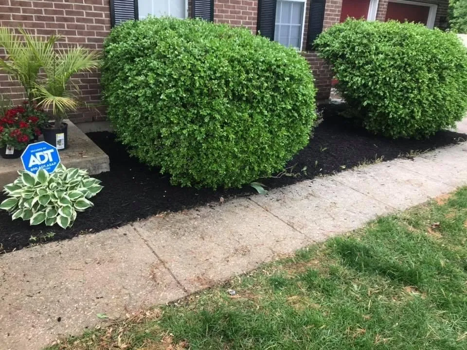 Local landscape design in Indianapolis, IN by Hoggatt Landscaping