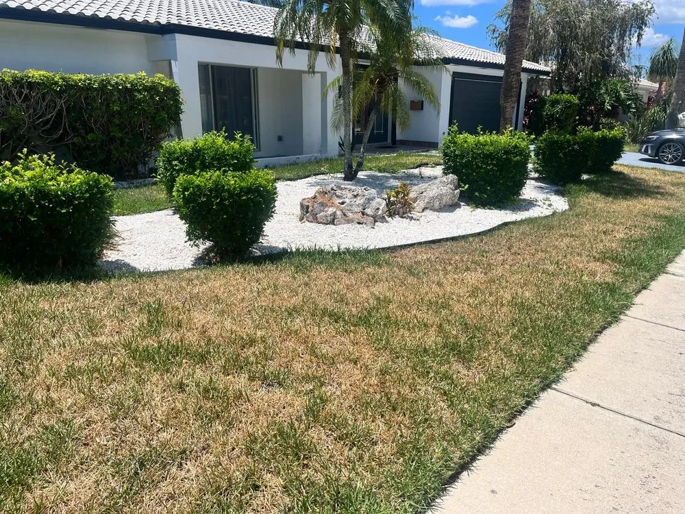 Custom landscape installation in Tampa, FL - HoH Sod Services