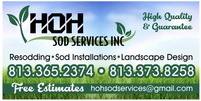 Trusted landscaping services for year-round maintenance in Tampa, FL by HoH Sod Services