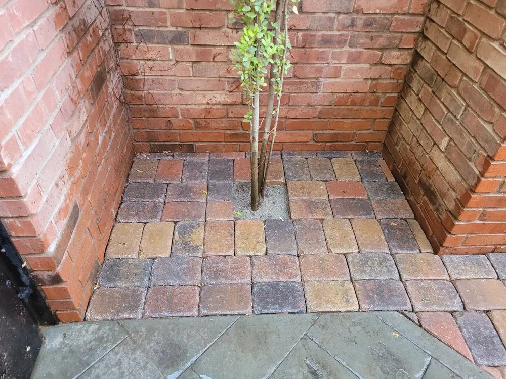 Expert landscape design with custom design in Lubbock, TX by Holbert's Landscaping & Lawn Care Aesthetics