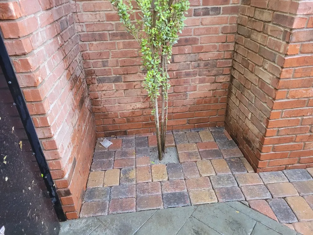 Local yard cleanup service for residential properties in Lubbock, TX by Holbert's Landscaping & Lawn Care Aesthetics