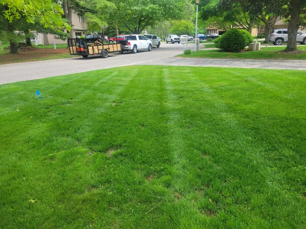 Local yard cleanup service in Frenchtown Township, MI by Holbrooks Lawn Care
