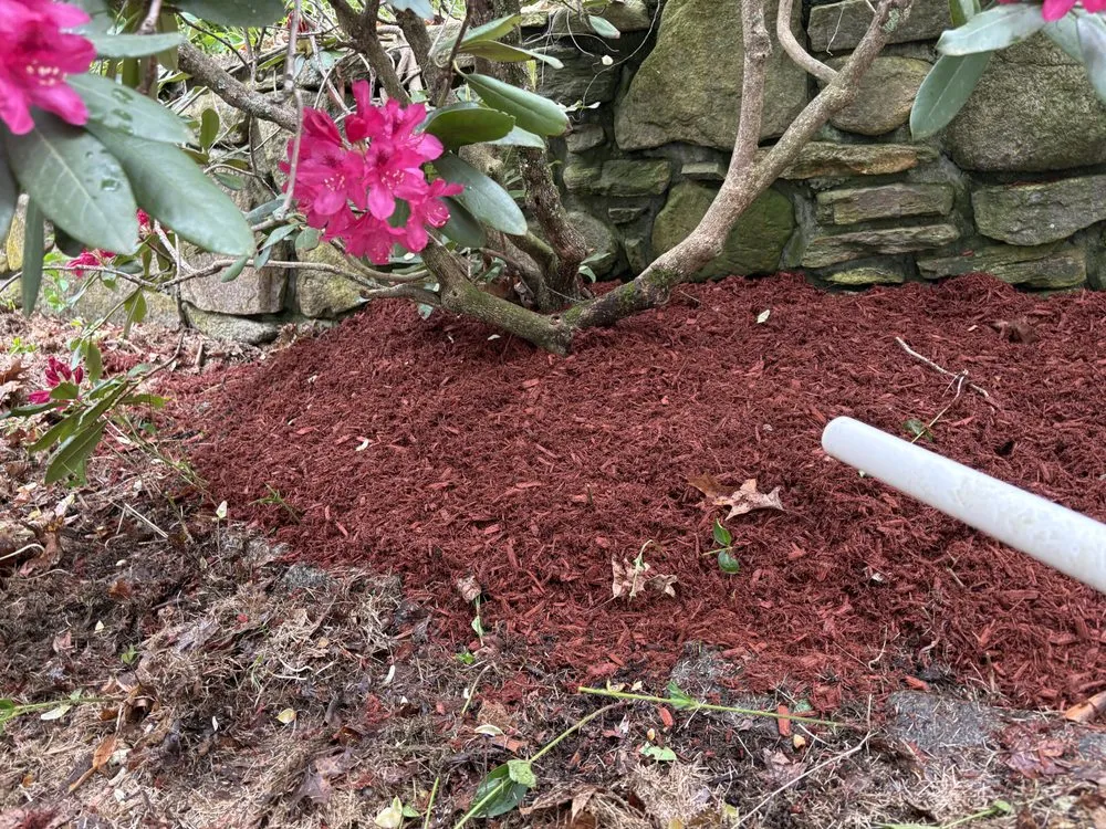 Professional yard cleanup service in Palmer, MA - Holbrook’s Outdoor Housecare