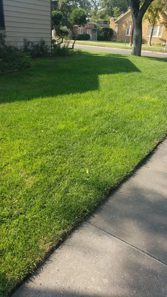 Affordable landscaping services for outdoor upgrades in Amarillo, TX by Hold Fast Lawn Care